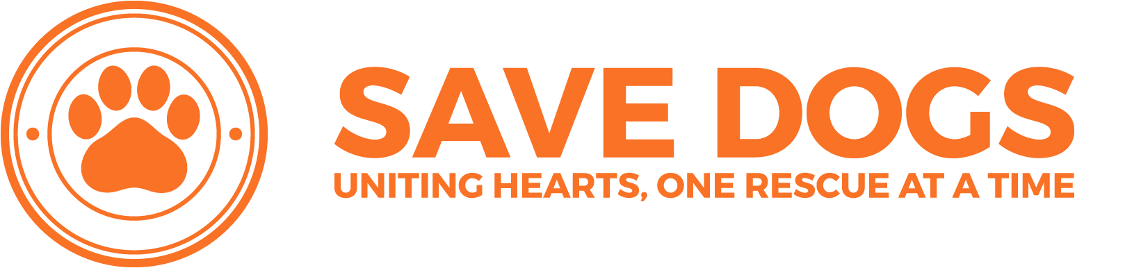 SAVE DOGS: Transforming Lives One Tail at a Time. We rescue dogs in Romania, bringing them to loving homes in the United Kingdom. Join us in making a difference at www.savedogs.co.uk today!