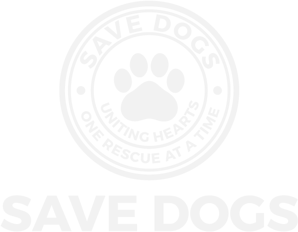 SAVE DOGS: Transforming Lives One Tail at a Time. We rescue dogs in Romania, bringing them to loving homes in the United Kingdom. Join us in making a difference at www.savedogs.co.uk today!