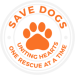 SAVE DOGS: Transforming Lives One Tail at a Time. We rescue dogs in Romania, bringing them to loving homes in the United Kingdom. Join us in making a difference at www.savedogs.co.uk today!